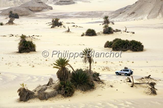 egypte desert libyque 31.JPG - 4x4 à proximité de l'oasis de FarafraDésert libyque, Egypte